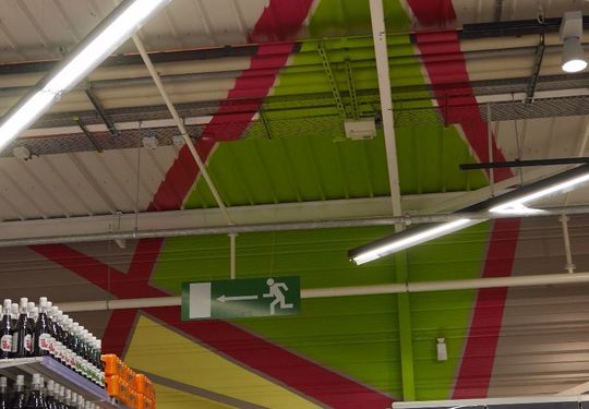 Image 23 du projet Arbres Stylises - Scénographie Intérieure